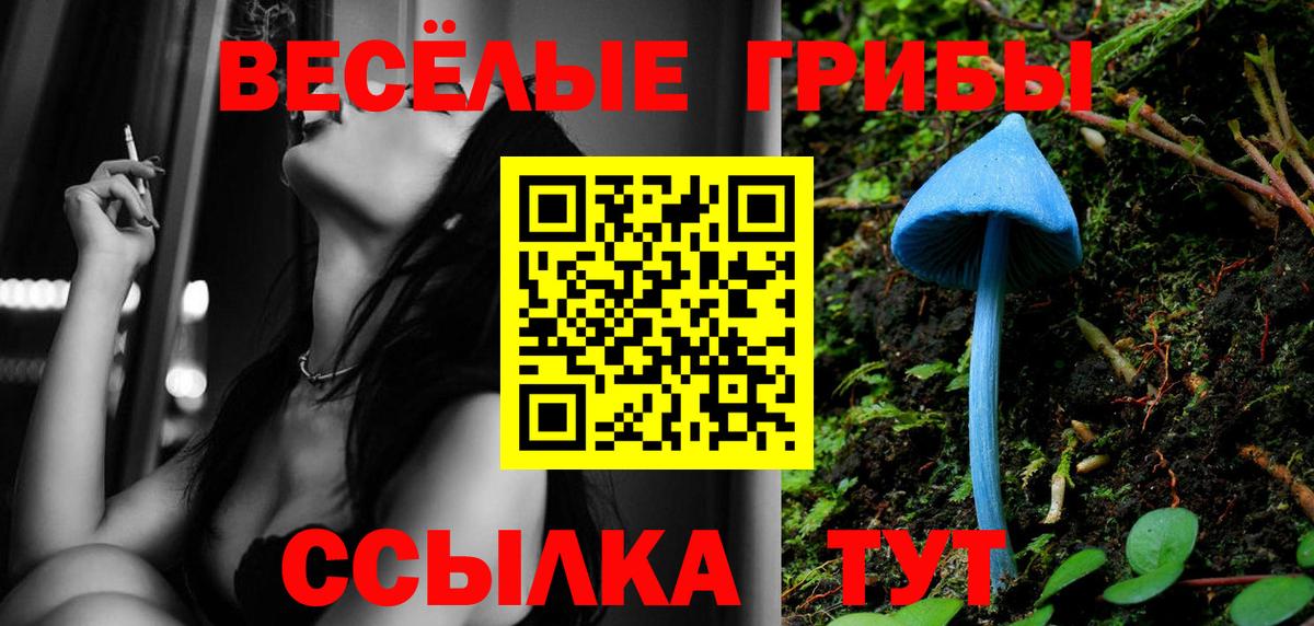 Галлюциногенные грибы Psilocybine cubensis Елабуга
