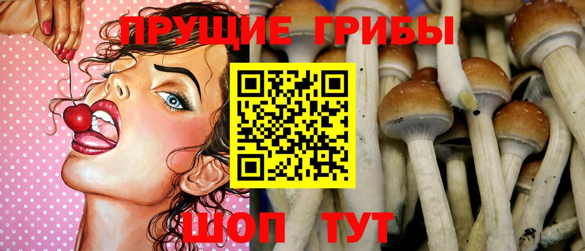 Галлюциногенные грибы GOLDEN TEACHER  Вход с VPN  Елабуга 